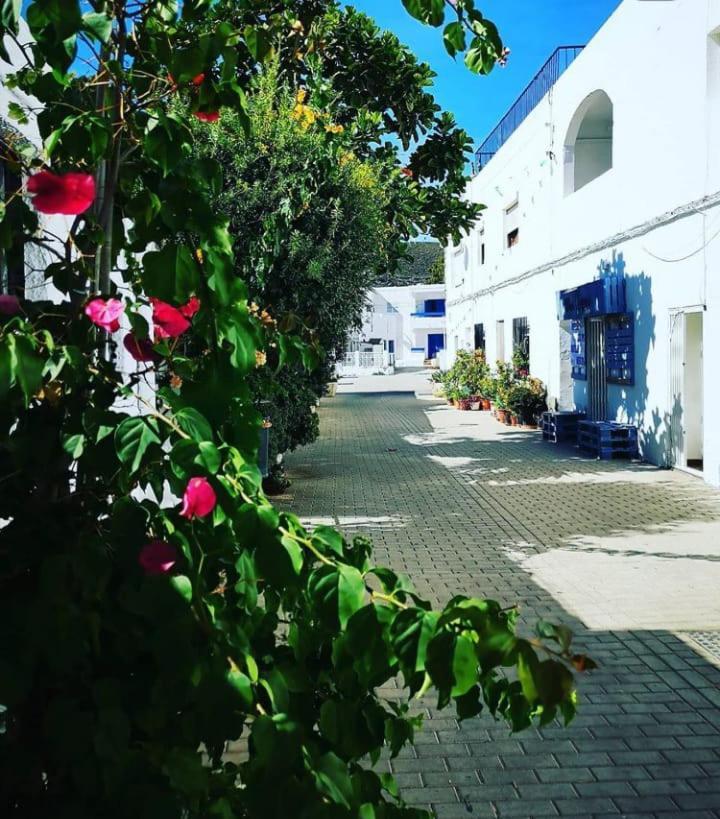 Casa Del Pez Vivienda A Pie De Calle En Agua Amarga A 250 Metros De La Playa Exterior foto